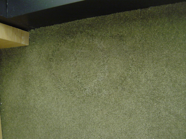 Bleach Repair – After