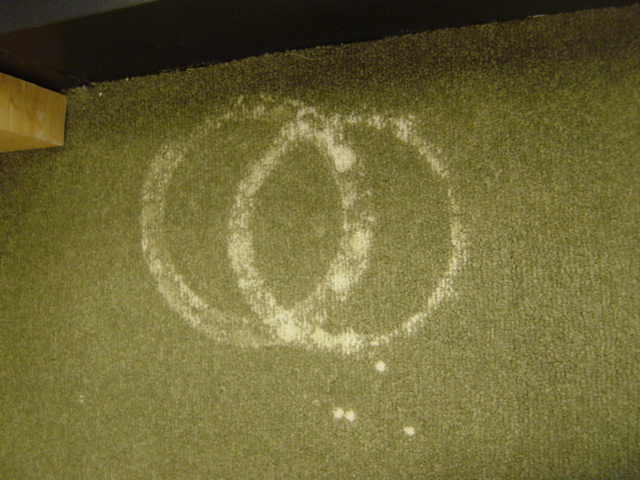 Bleach Repair – Before